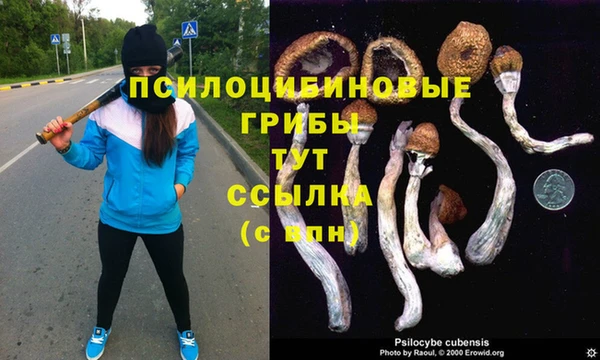 индика Надым