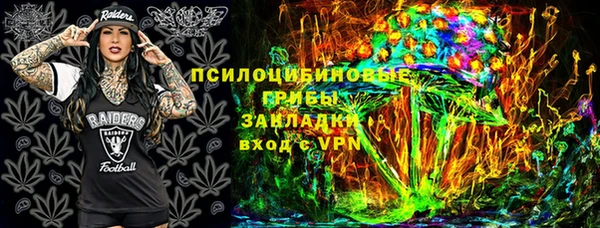 прущие грибы Вязники