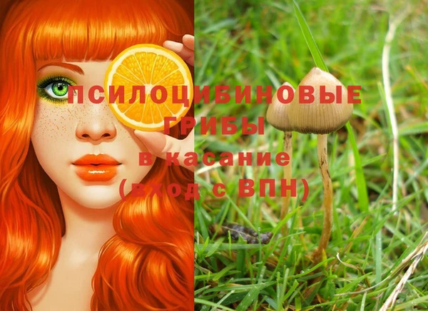 каннабис Михайловка